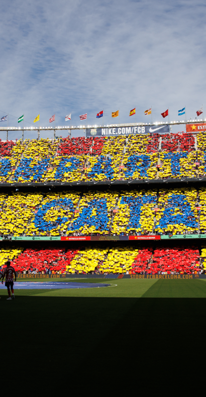 L’ESPORT TREU LA LLENGUA